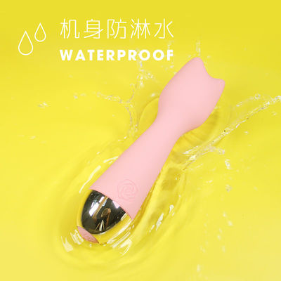 Waterproof USB Rechargeable Electric Wand Massager With 10 Vibrating Modes